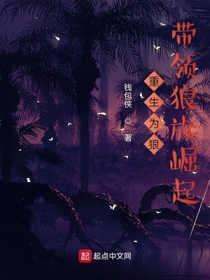 ����Ϊ�ǣ�������������