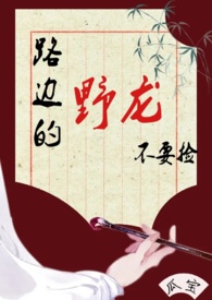 ·�ߵ�Ұ����Ҫ�񣨹��� 1v1 ���⣩