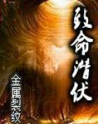 ����Ǳ��