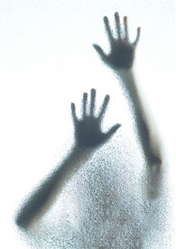 ��������裨���֣�