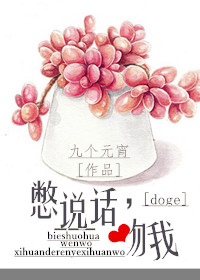 ��˵��������