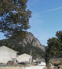 ��ʮ������Ҹ�