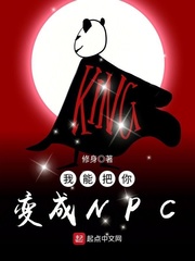 ���ܰ�����NPC