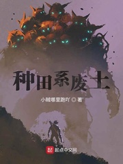 ����ϵ����