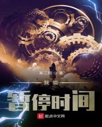 ������ͣʱ��